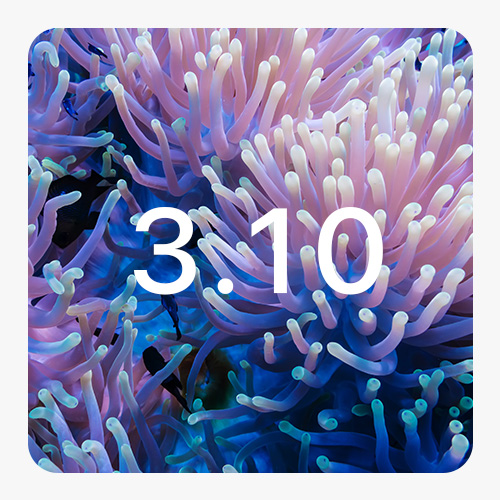 Representative photo of Ephoto Dam version 3.10. Photo of corals in the water