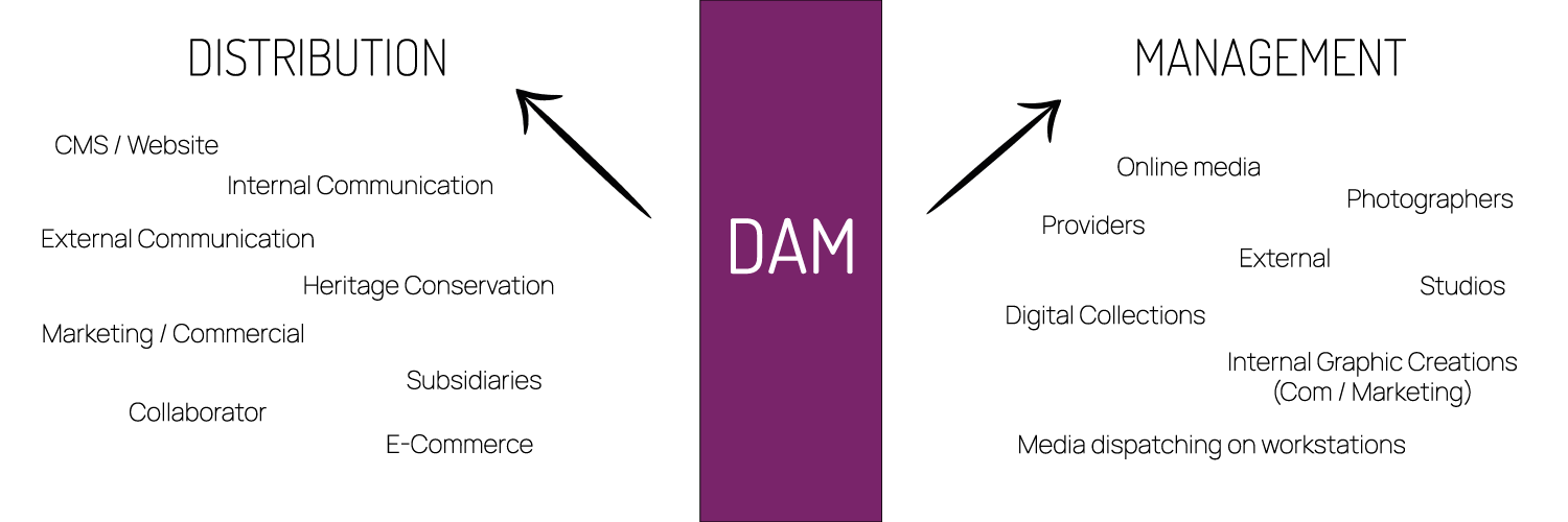 Diagram to explain the functionalities of a DAM solution