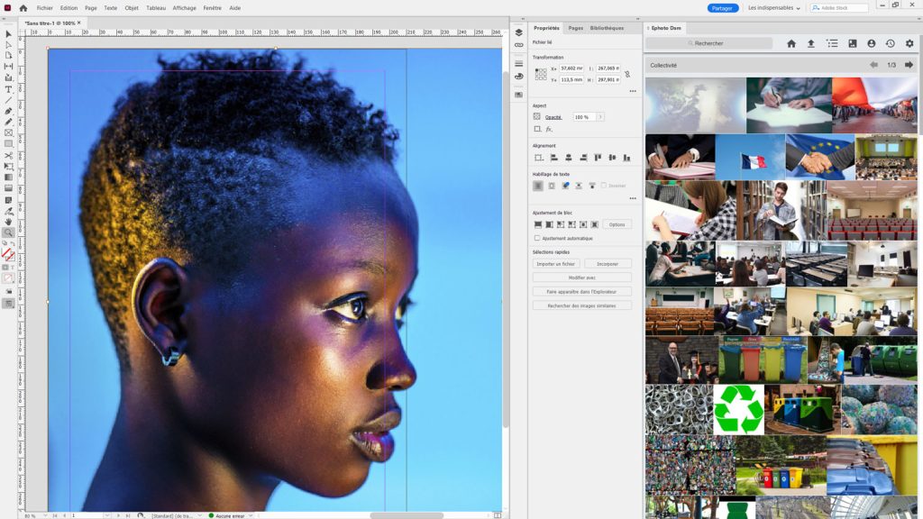 Indesign interface with Ephoto Dam plugin
