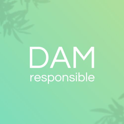 Green background with two visuals of tree shading and a text reading ‘Responsible DAM’.