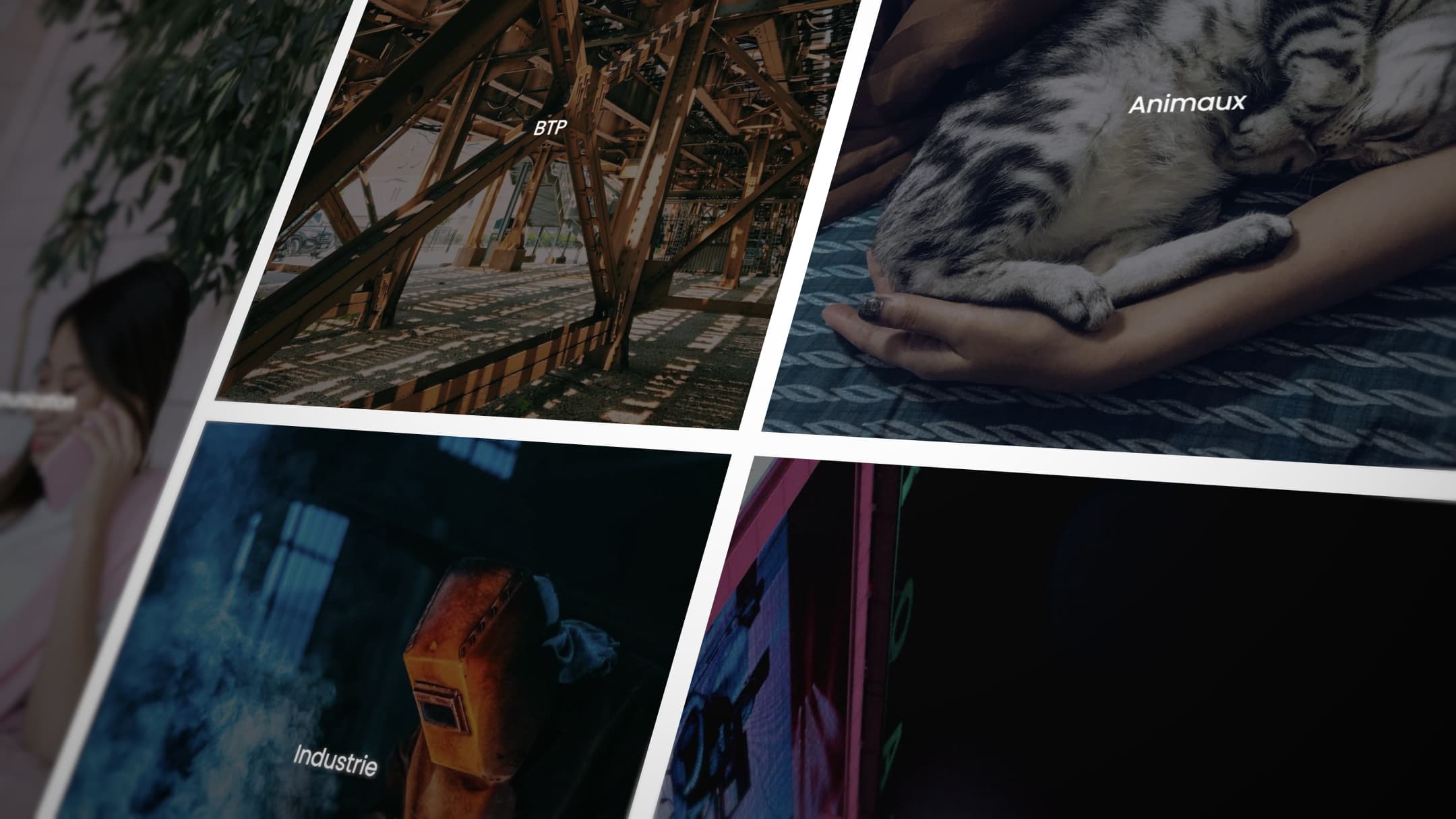 Several photos placed side by side to show an image bank.