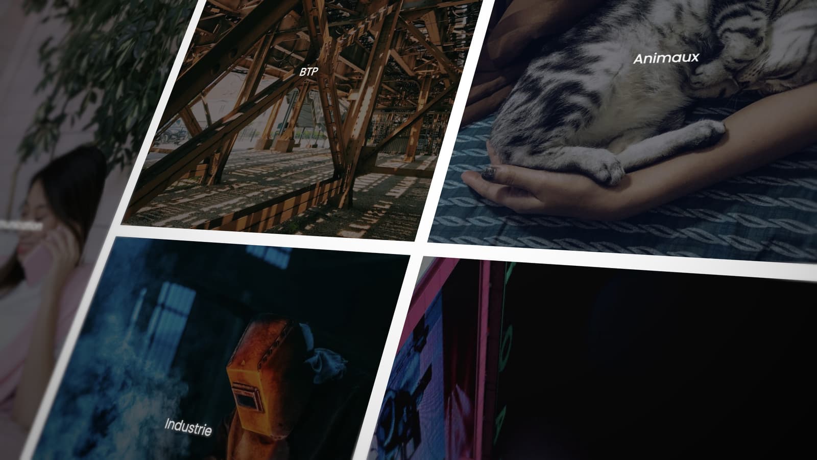 Several photos placed side by side to show an image bank.