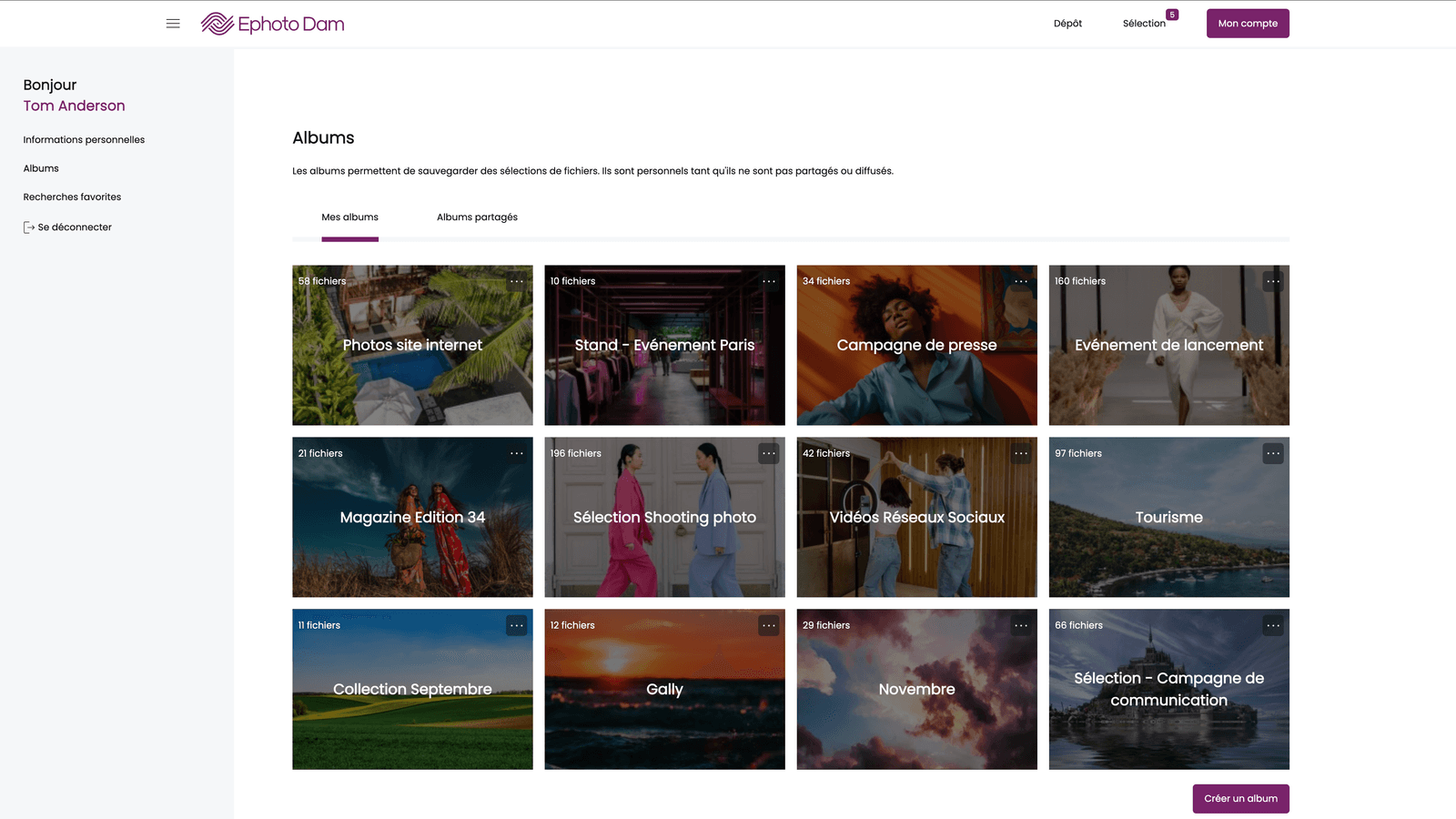Management of Ephoto Dam albums in the Front Office interface: organisation and consultation of shared photos in high-performance DAM software.