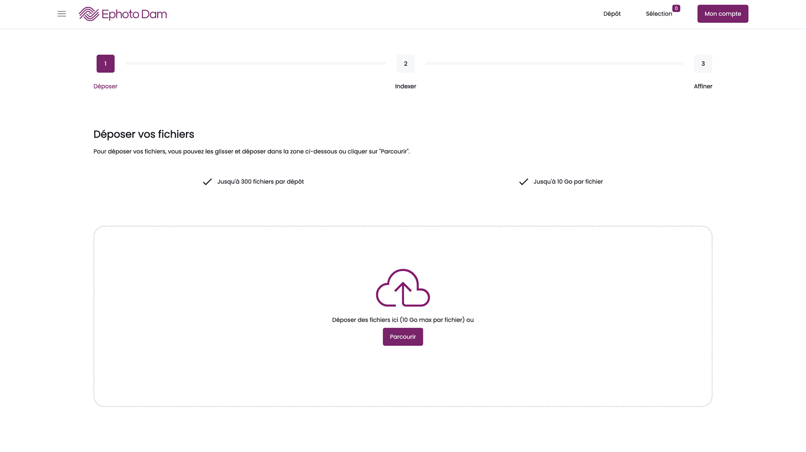 Interface for importing and managing media from the Front Office to Ephoto Dam.