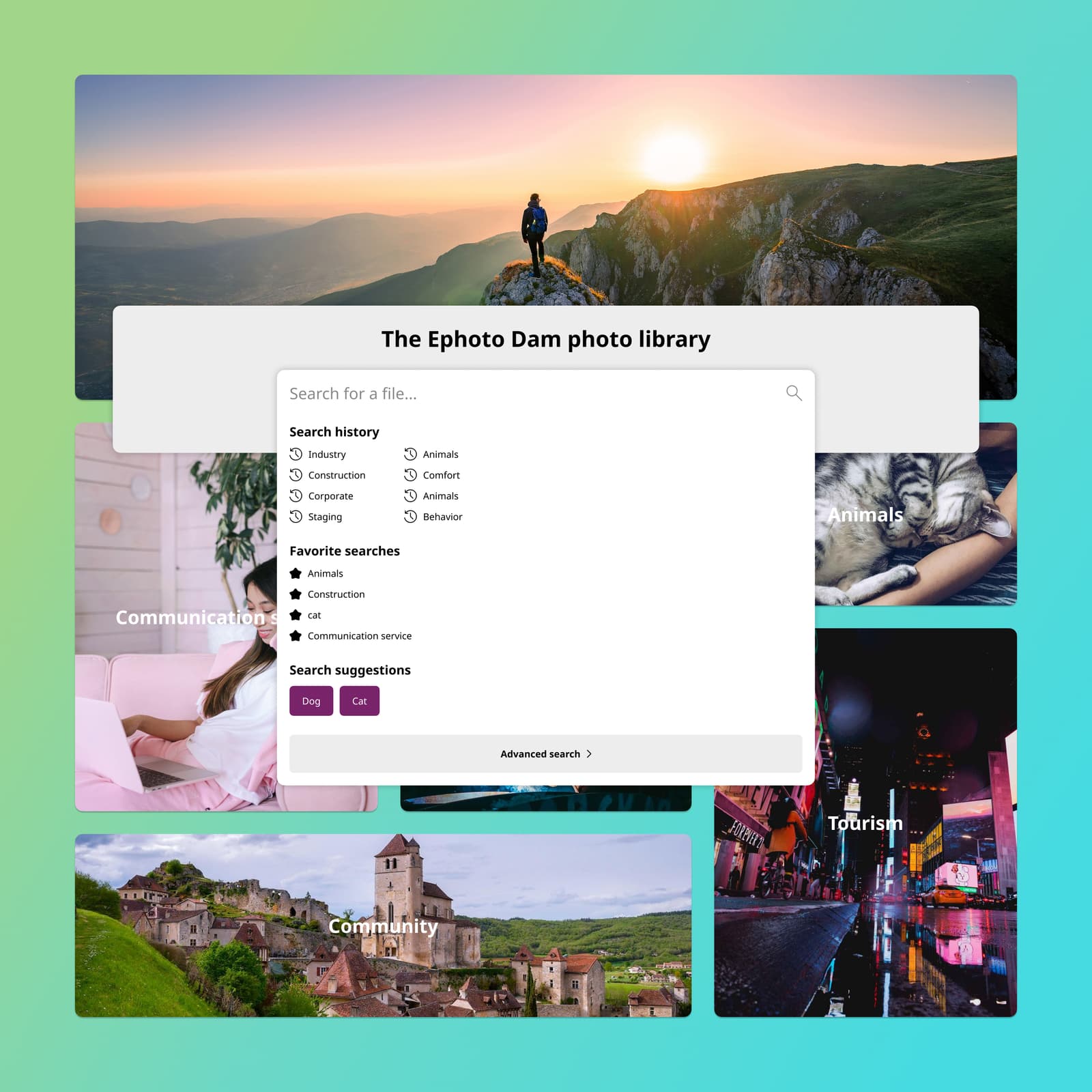 Intuitive portfolio and search interface in the Ephoto Dam front office.