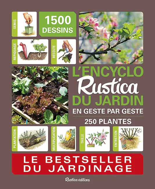 Image from an issue of Rustica magazine.