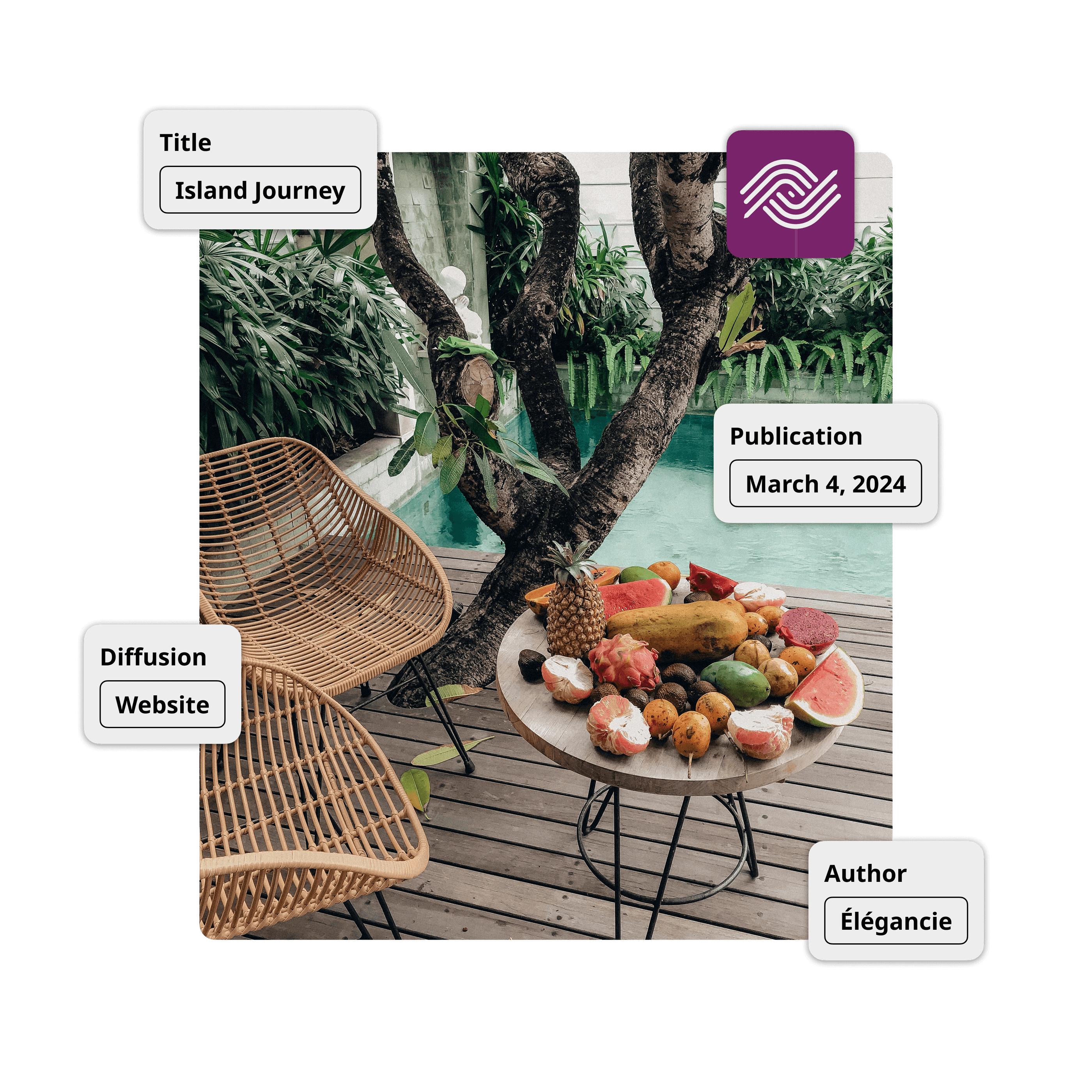 Image of the Ephoto Dam plugin integration for WordPress with advanced media management, image optimisation and caption management directly from the extension.
