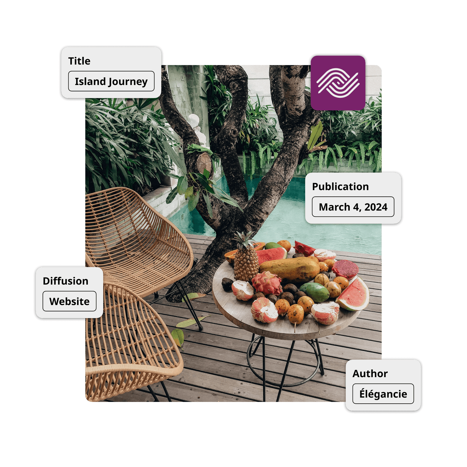 Image of the Ephoto Dam plugin integration for WordPress with advanced media management, image optimisation and caption management directly from the extension.