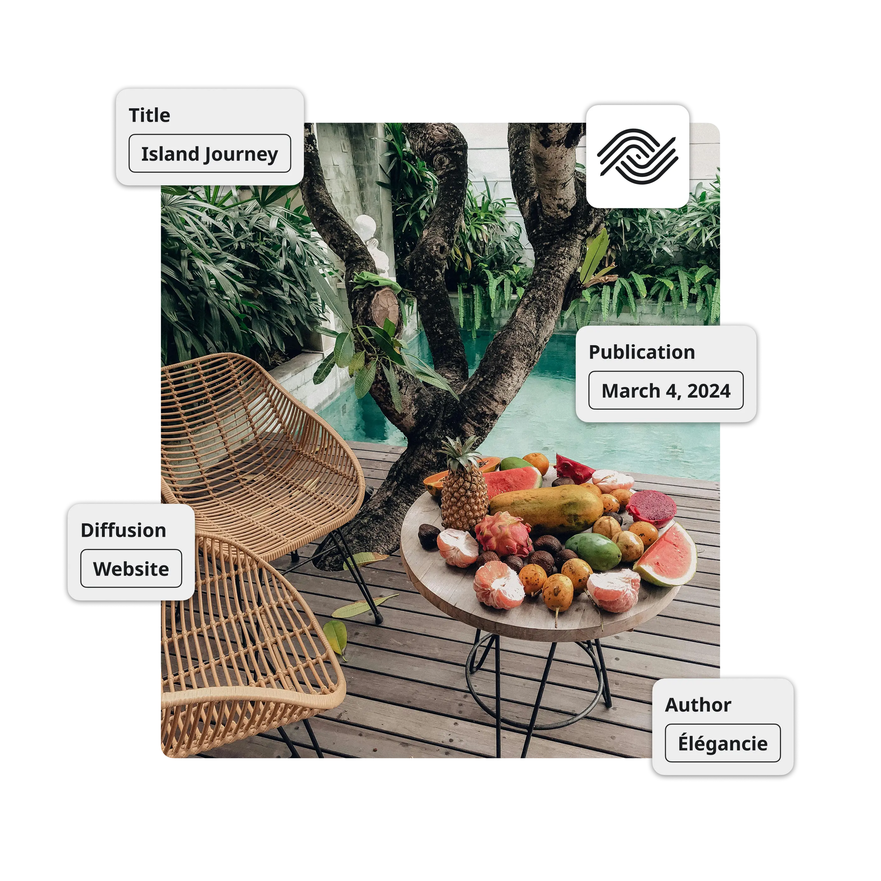 Image of the Ephoto Dam plugin integration for WordPress with advanced media management, image optimisation and caption management directly from the extension.