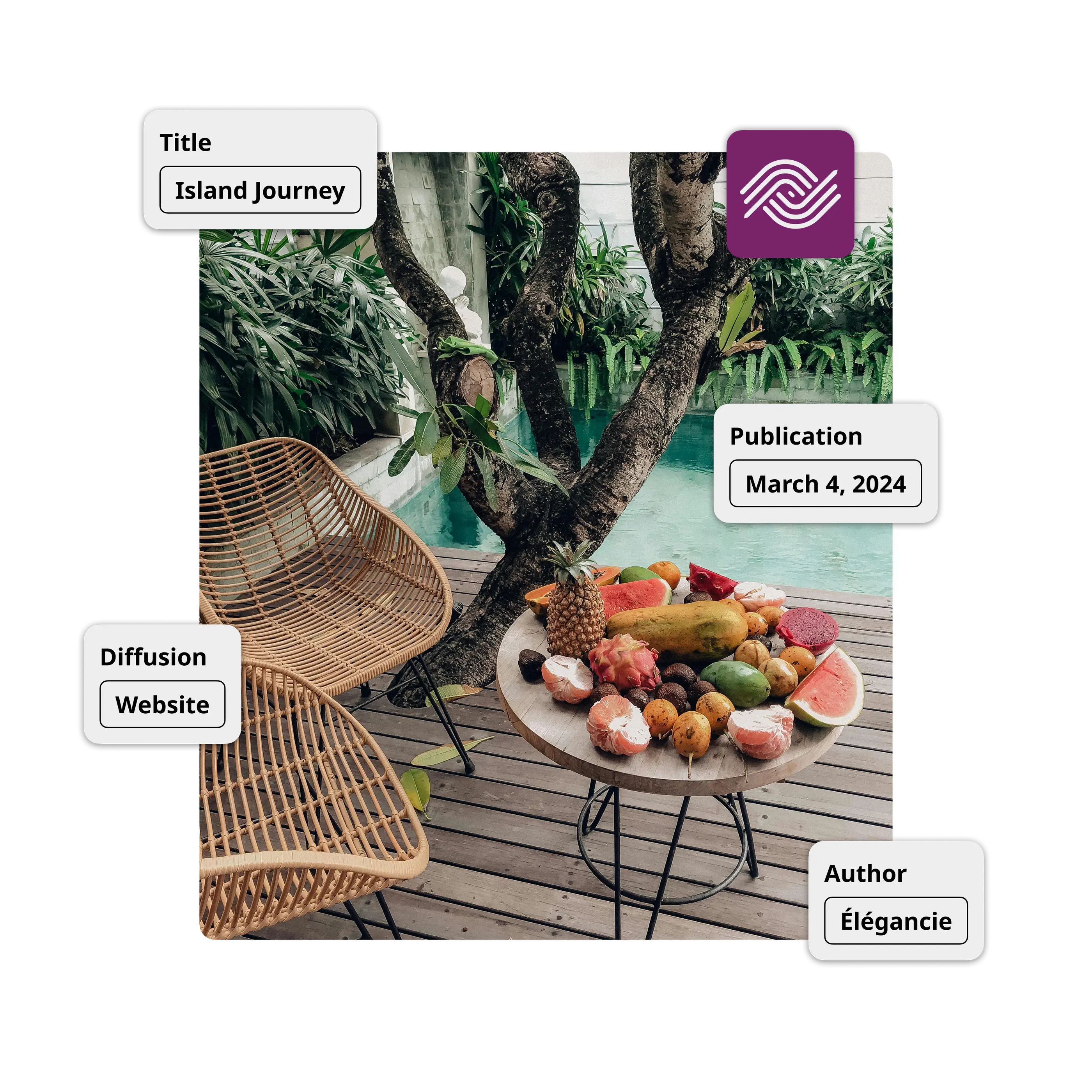 Image of the Ephoto Dam plugin integration for WordPress with advanced media management, image optimisation and caption management directly from the extension.