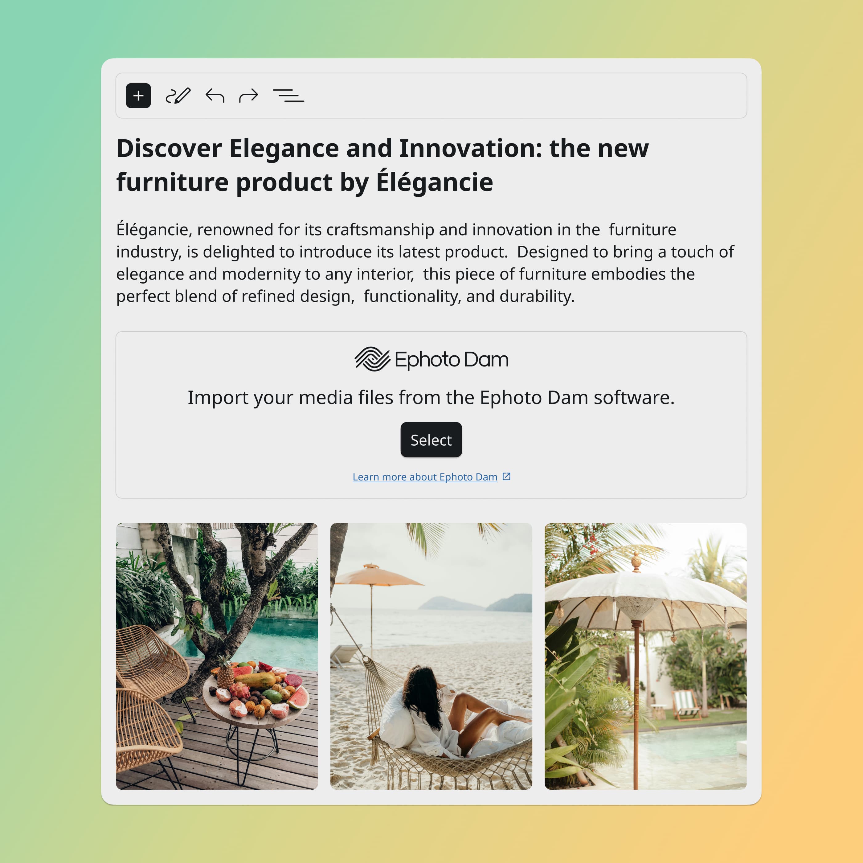 WordPress interface with the Ephoto Dam plugin, making it easy to integrate media from the Digital Asset Management solution.