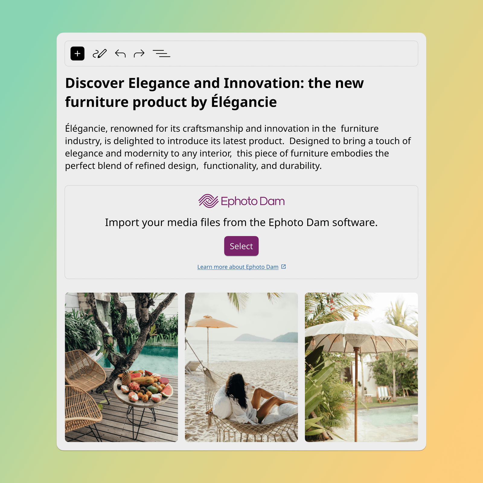 WordPress interface with the Ephoto Dam plugin, making it easy to integrate media from the Digital Asset Management solution.